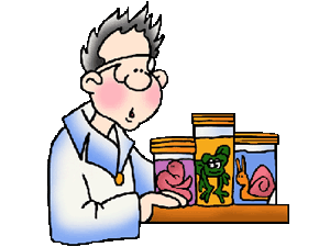 Biology Clipart | Free Download Clip Art | Free Clip Art | on ...