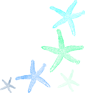 Free Starfish Clipart