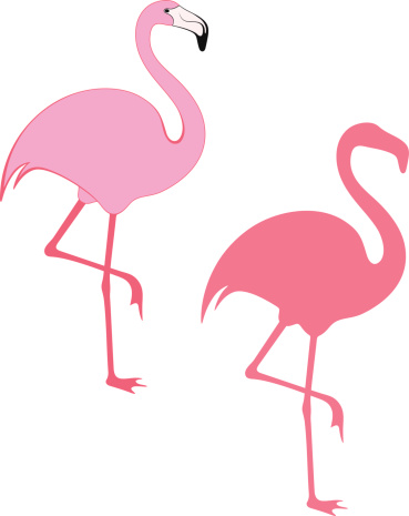 Flamingo Clip Art, Vector Images & Illustrations