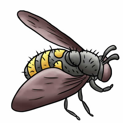 FREE Bee Clip Art 17