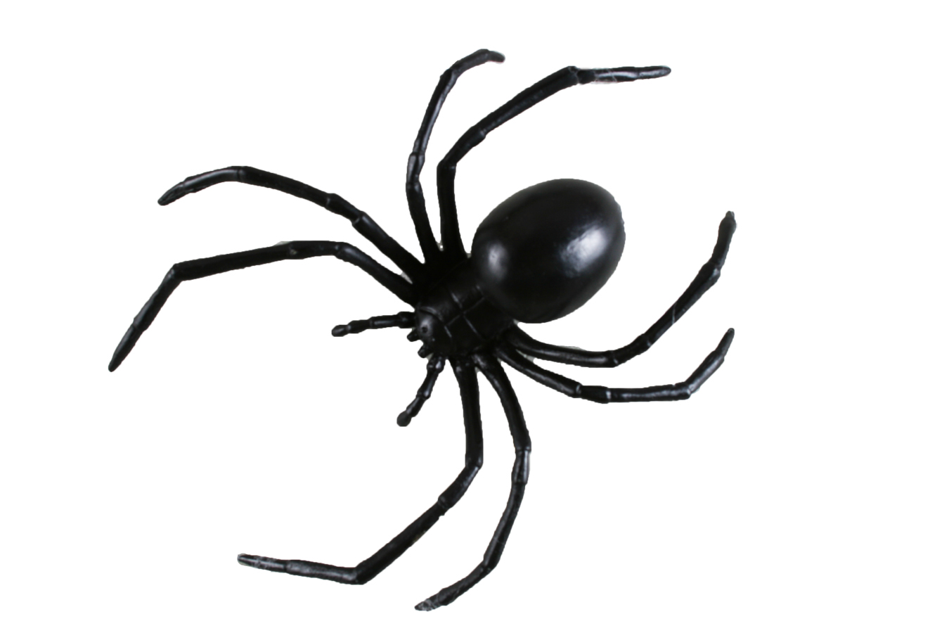 Animated Spider Pictures - ClipArt Best