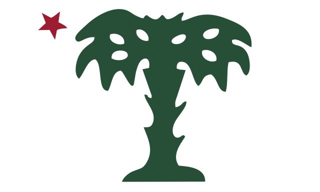 South Carolina : Patriotic Flags, Online Flag Store