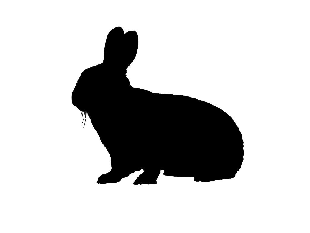 Black bunny clipart - ClipartFox