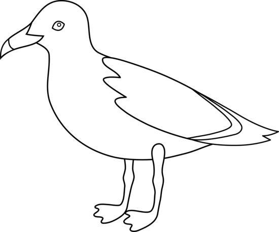 Seagull Outline