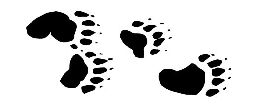 Amazon.com: Bear Tracks Paw Print - Vinyl Decal Sticker - 9" x ...