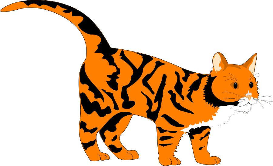Orange Cat Pictures | Free Download Clip Art | Free Clip Art | on ...