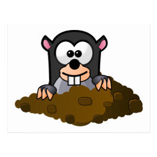 Cute Mole Cartoon Cards | Zazzle