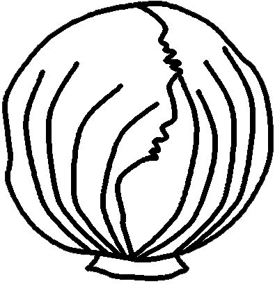Lettuce clipart 8 image #36023