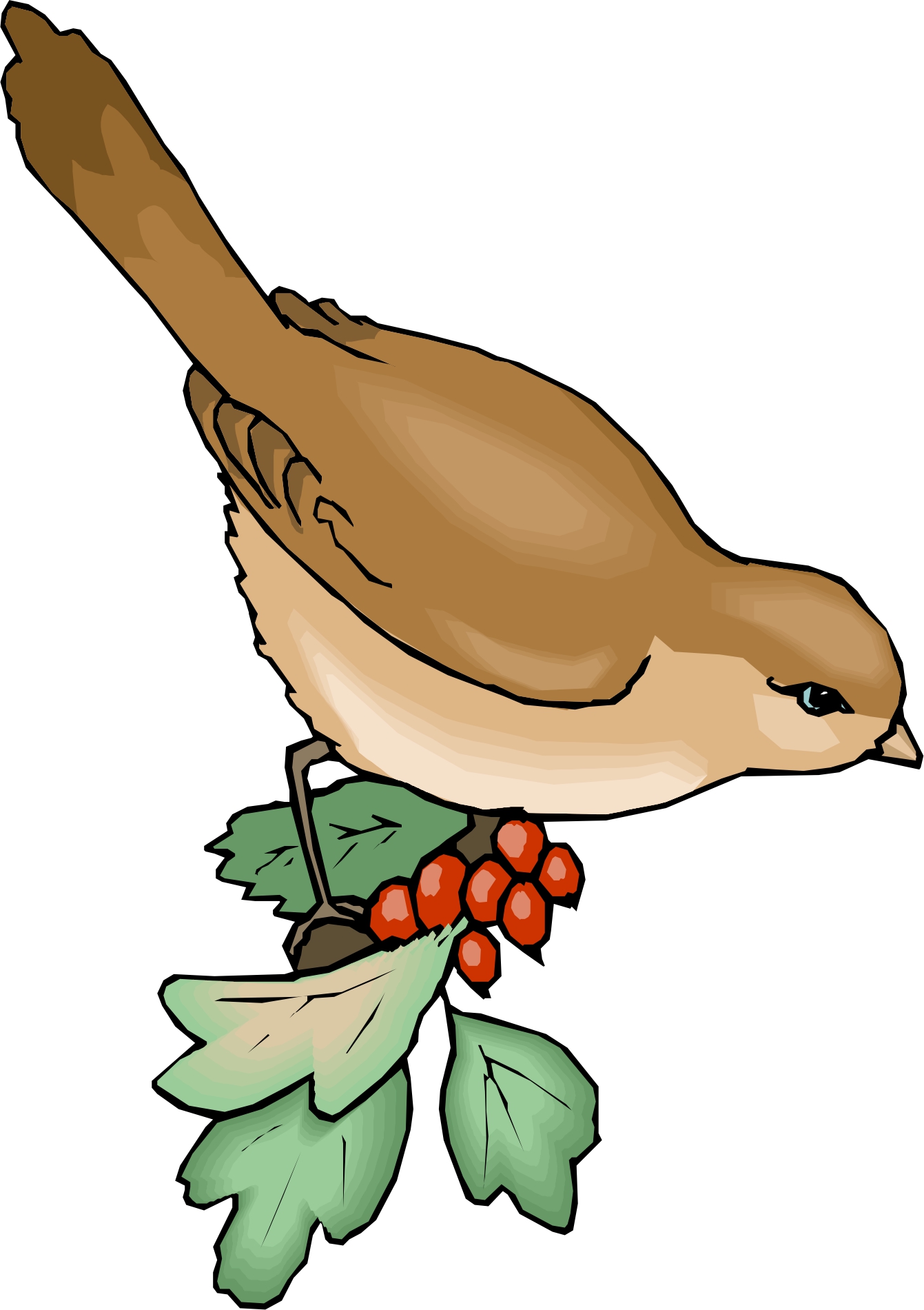 Cartoon Birds | Page 3