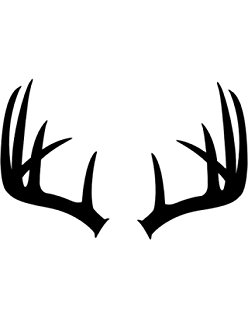 Amazon.com: Stencil1 Large Antler Deer Stencil, 18 x 24"