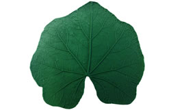 Silicone Leaf Patterns for Clay