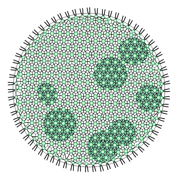 Algae