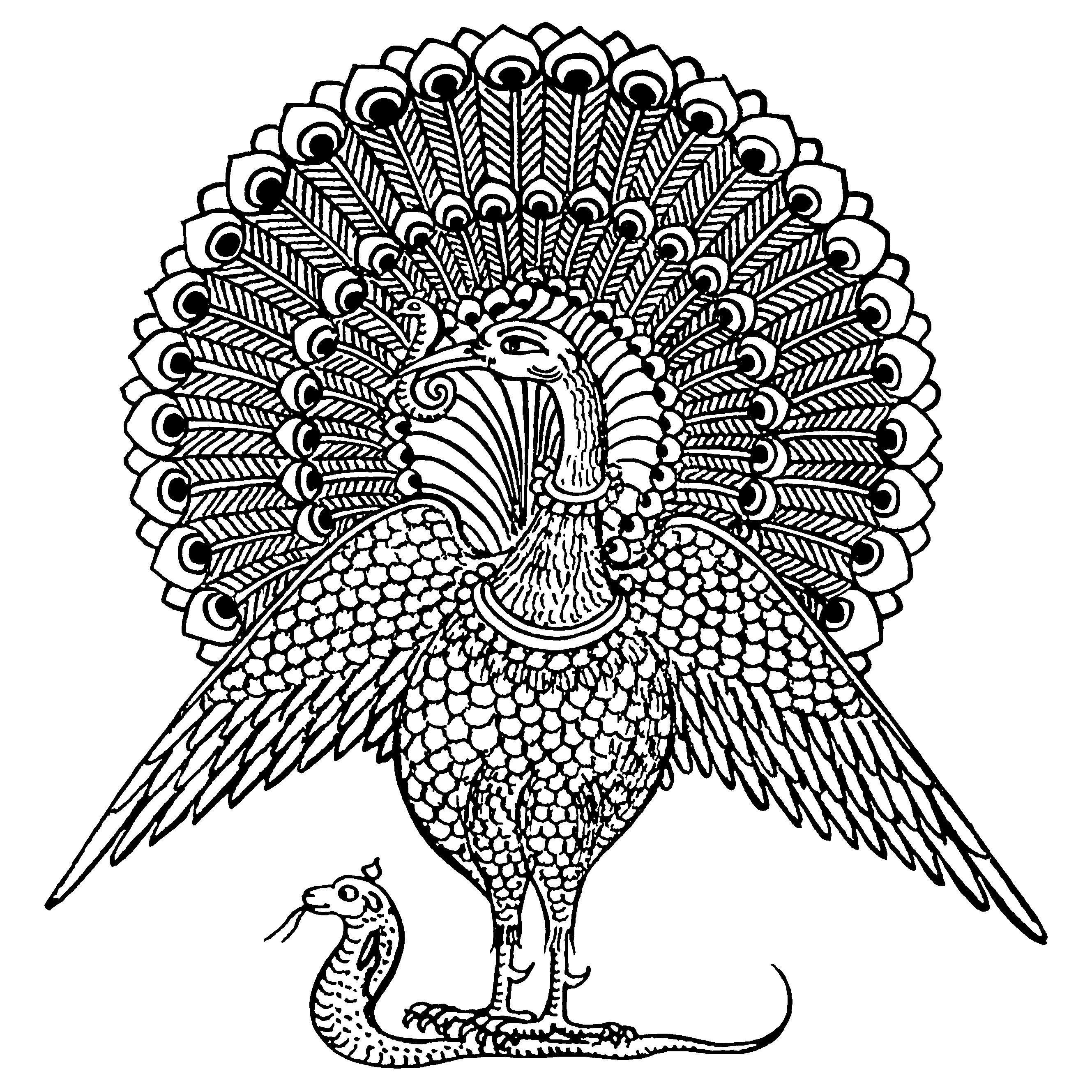 Indian Vector Art - ClipArt Best