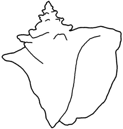 Sigsbee Second Grade