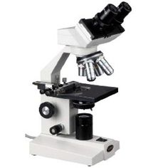 Binocular Microscope Diagram - Free Clipart Images