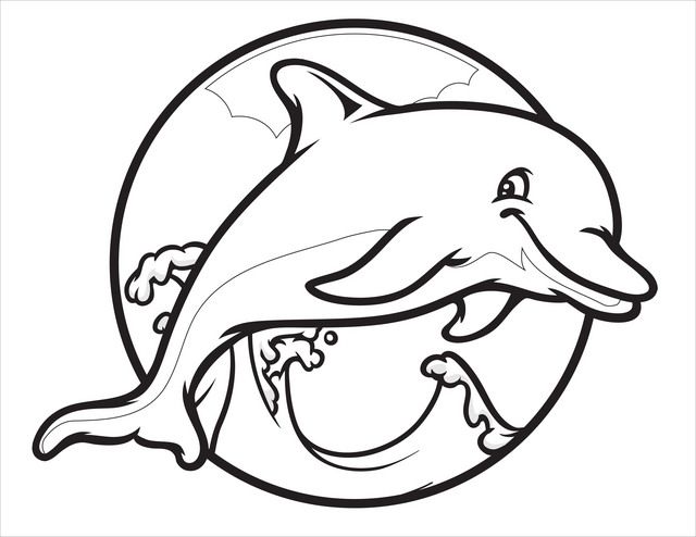1000+ images about cards DOLPHIN
