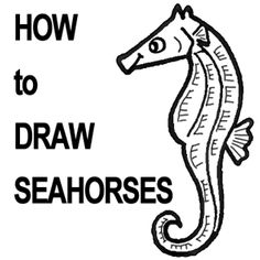 How To Draw A Seahorse Step By Step For Kids - ClipArt Best