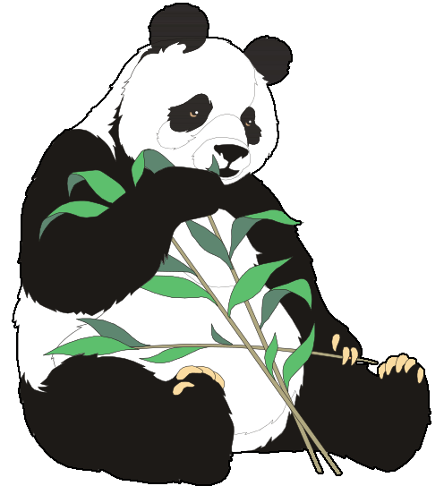 panda bamboo