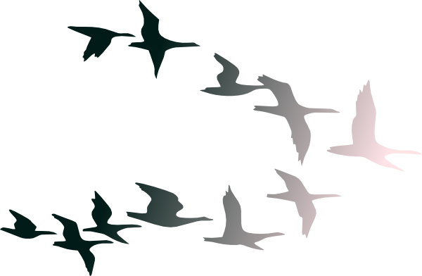 Flying Bird Clip Art - Tumundografico