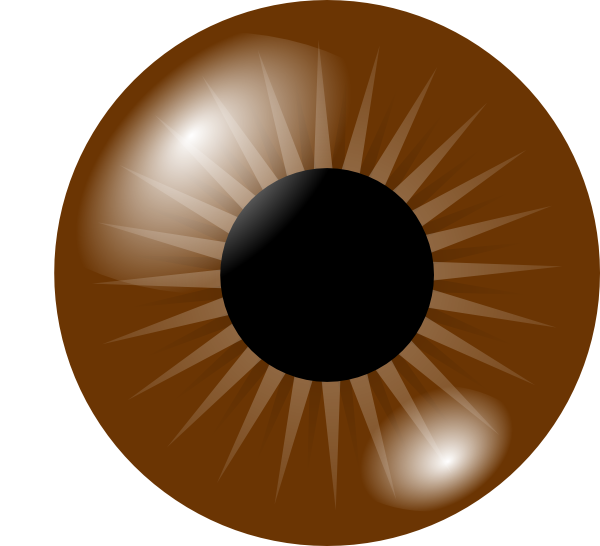 Brown Eye Clip Art - vector clip art online, royalty ...