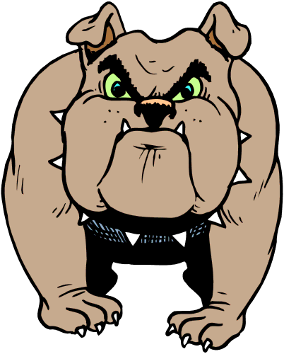 mean dog