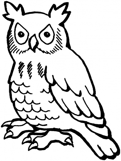 Owl clipart outline - ClipartFox