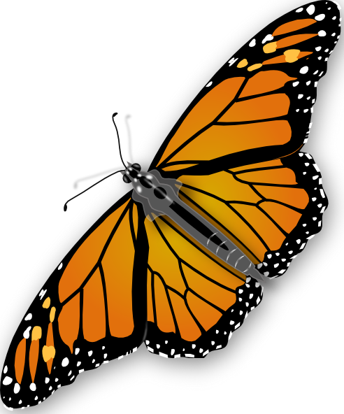 Butterfly Clip Art - vector clip art online, royalty ...