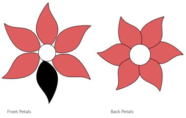 Seasons, Mike d'antoni and Flower petals