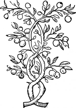 Fruit Tree Branches clip art Free vector in Open office drawing ...