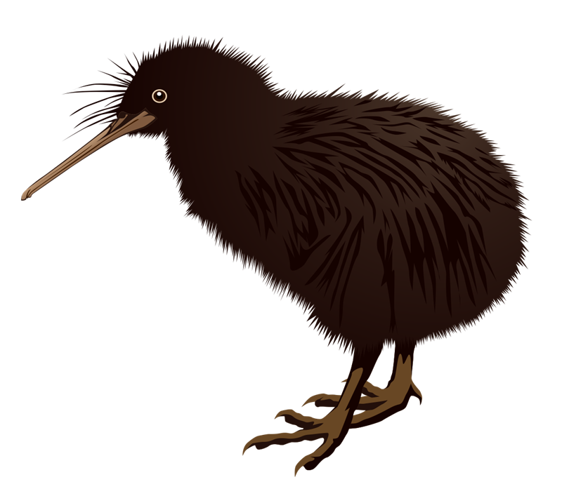 Free to Use & Public Domain Kiwi Clip Art