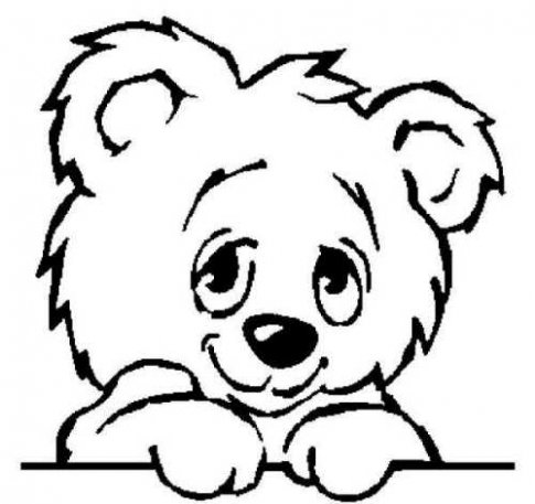 Teddy Bear Drawings