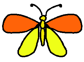 Butterflies for beginners