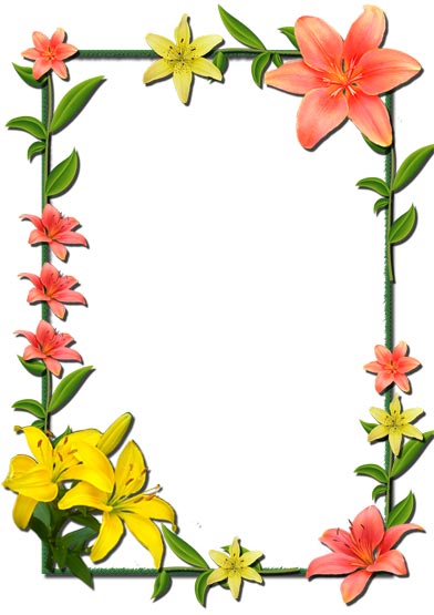 12 Photoshop flowers frames