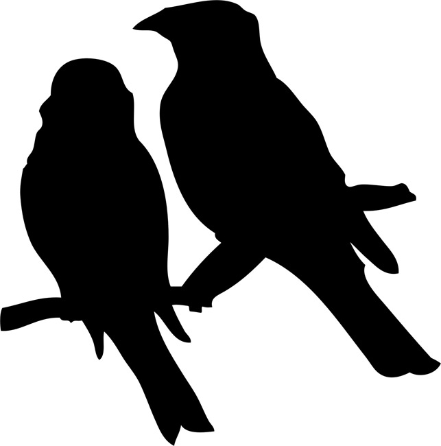 Bird Stencils - Stencilease.