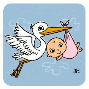 18_baby_stork-300x300.gif