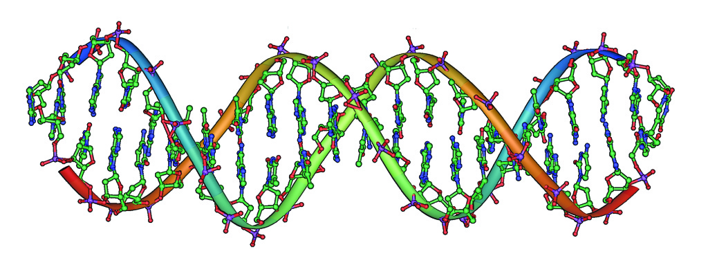 Schulman Lab, Johns Hopkins University