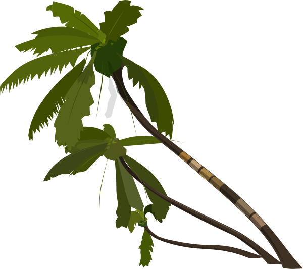 Vector Palm Trees Clip Art - vector clip art online ...