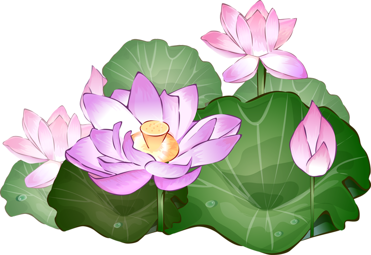 Lotus flower clipart