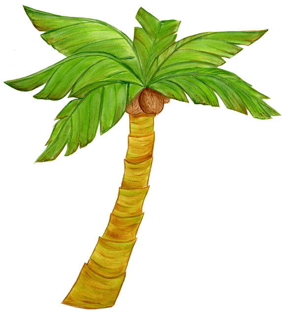 Palm Tree Outline Clipart