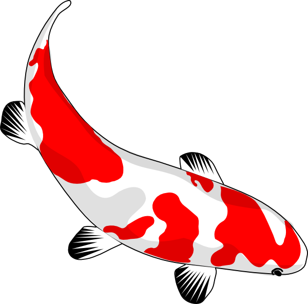 Koi Fish Cartoon