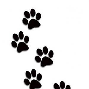 Best Dog Paw Print Tracks Clip Art Picture | ClipArTidy