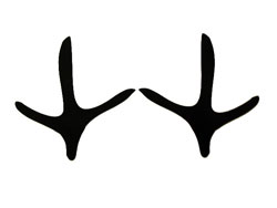 Turkey hunting at Panther Creek; Jim Sunday Outfitters offers the ...