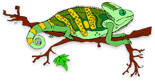 Free Animated Animals - Bird Gifs - Lizard Clipart