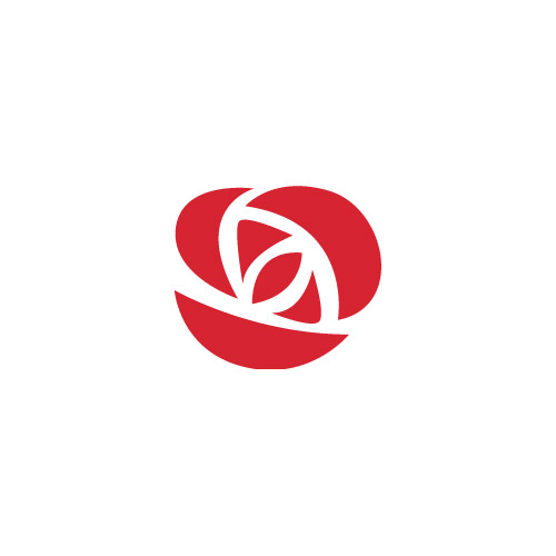 1000+ images about Rose