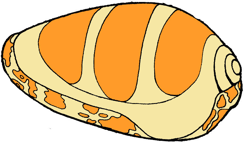 Blue Sailboat Sea Shells Clipart