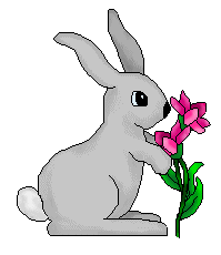 Grey rabbit clipart