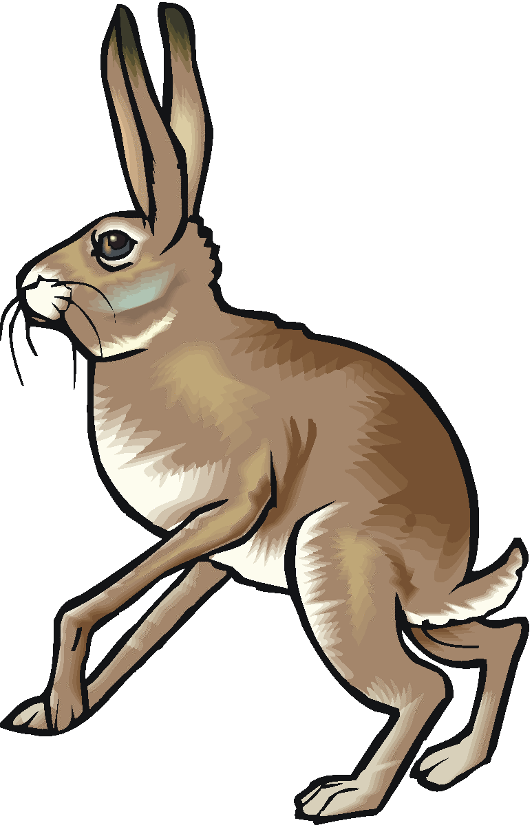 Rabbit clipart #RabbitClipart, Bunny Rabbit Clip Art animals photo ...