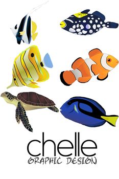 Sun, Tropical fish and Yellow