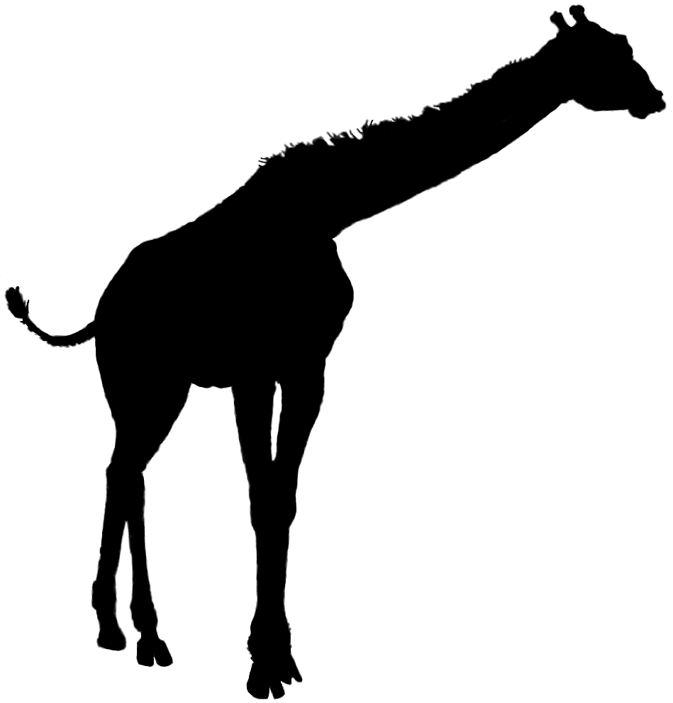 Giraffe head silhouette clipart