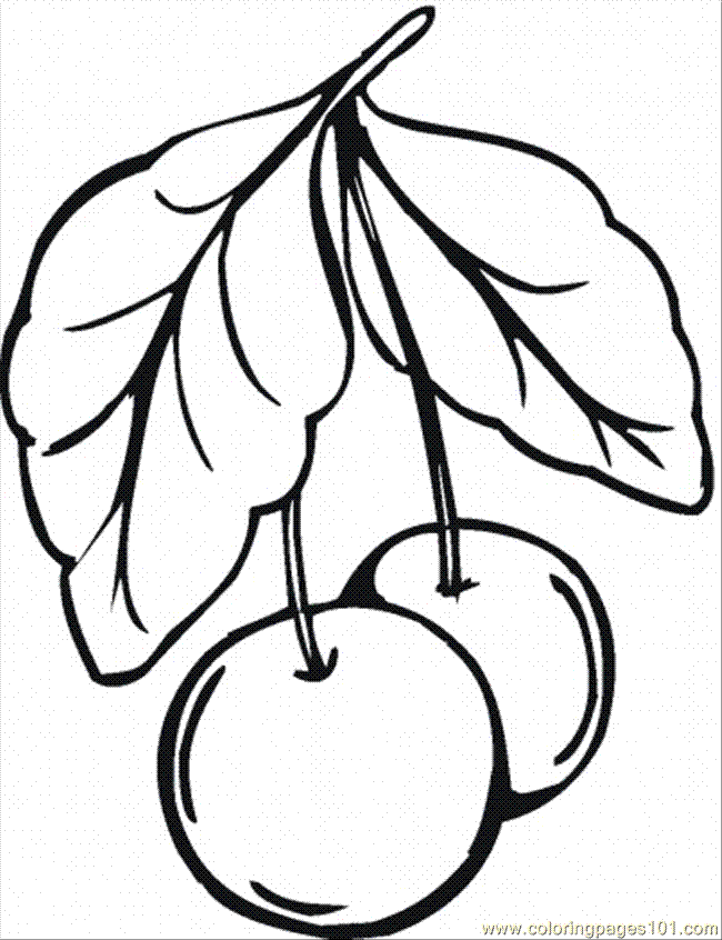 Cherry Blossom Coloring Pages - AZ Coloring Pages